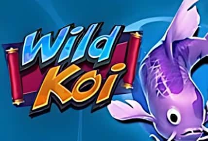 Wild Koi