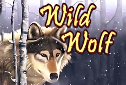 Wild Wolf