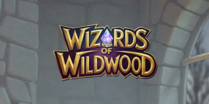 Wizards of Wild Wood img