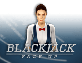 BlackJack 21 FaceUp 3D Dealer