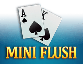 Mini Flush img