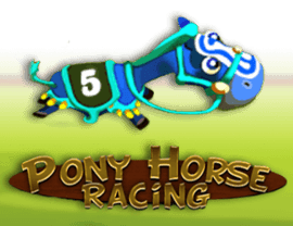 Pony Horse Racing img