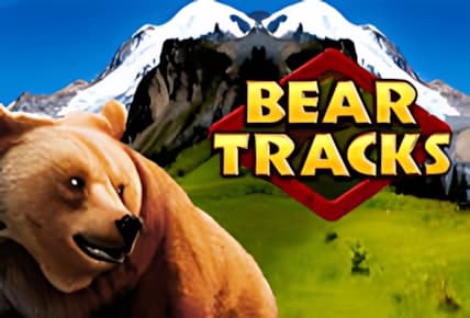 Bear Tracks img