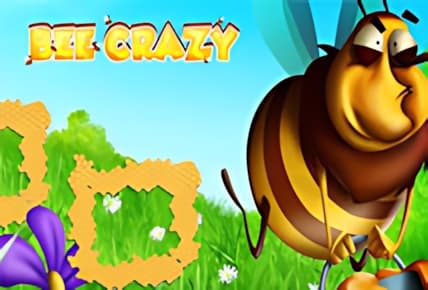 Bee Crazy img