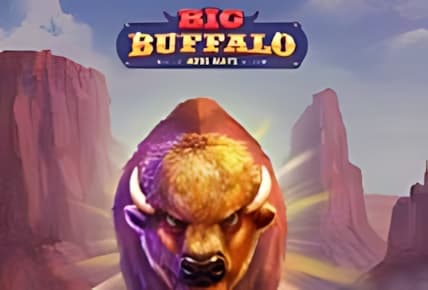 Big Buffalo img