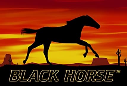 Black Horse img