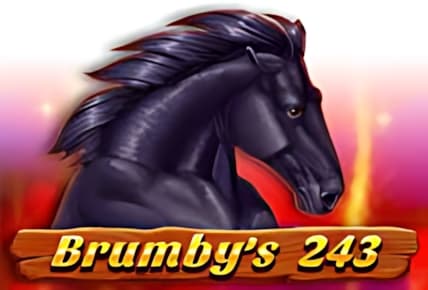 Brumby’s 243 img