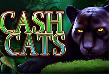 cash-cats.jpg