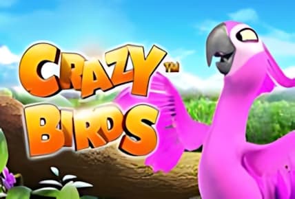 Crazy Birds img