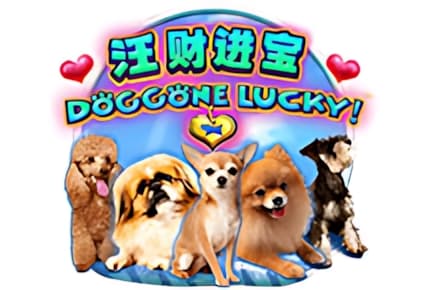 Doggone Lucky img