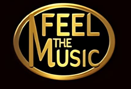 Feel the Music img