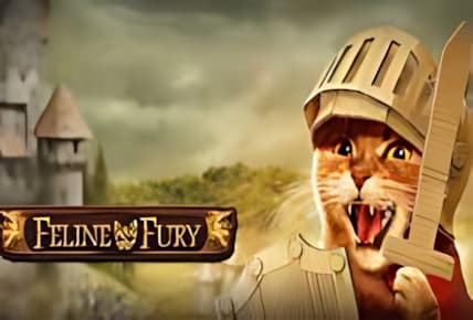 Feline Fury img