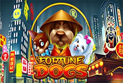 Fortune Dogs img