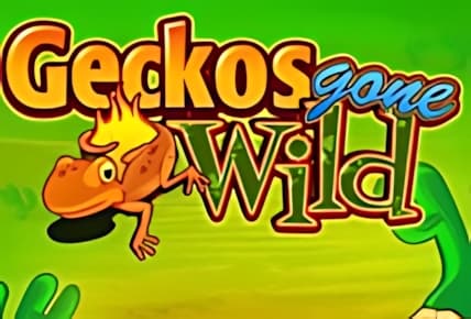 Geckos Gone Wild img