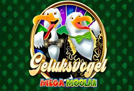 Geluksvogel Mega Moolah img