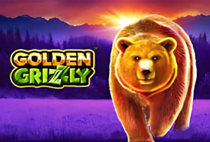 Golden Grizzly img