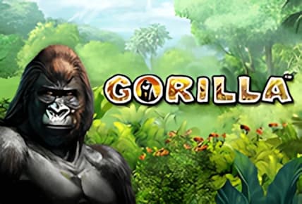 Gorilla img