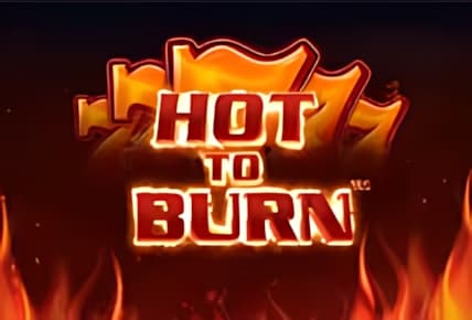 Hot To Burn img