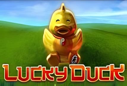 Lucky Duck img