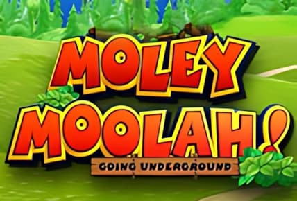 Moley Moolah img