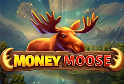 Money Moose img