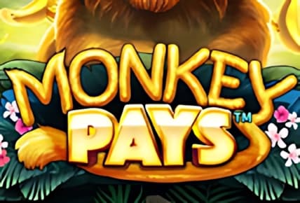 Monkey Pays img