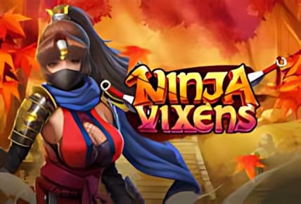Ninja Vixens img