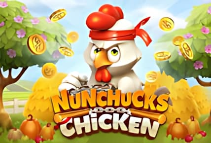 Nunchucks Chicken img