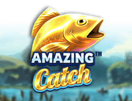 Amazing Catch img