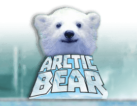 Arctic Bear img