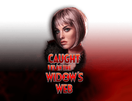 Play Caught in the Widow's Web