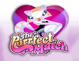 The Purrfect Match img