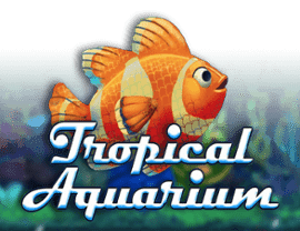 Tropical Aquarium img