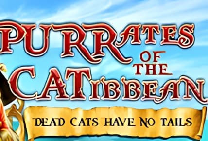 Purrates of the Catibbean img