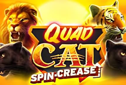 Quad Cat Spin-crease img