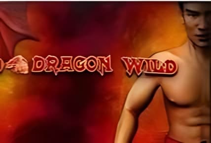 Red Dragon Wild img