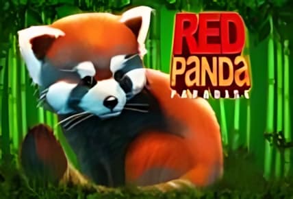 Red Panda Paradise img