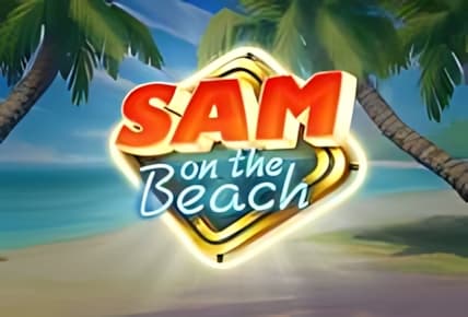 Sam on the Beach img