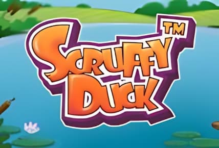 Scruffy Duck img