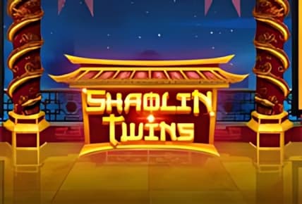 Shaolin Twins img