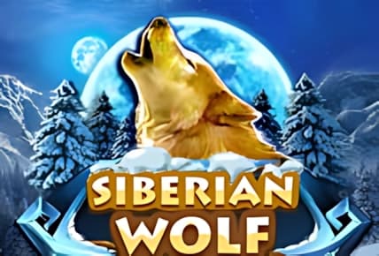Siberian Wolf