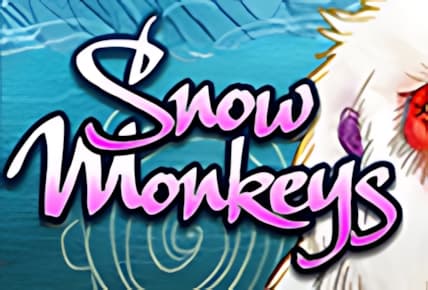 Snow Monkeys img
