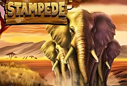 Stampede img