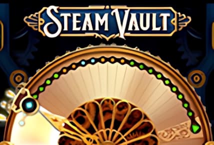 Steam Vault img