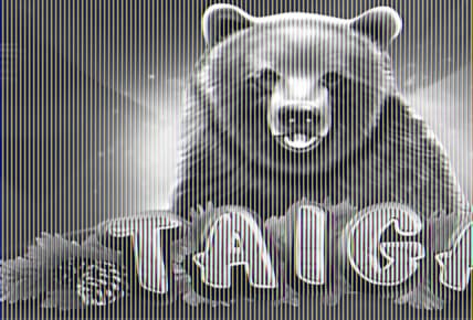 Taiga