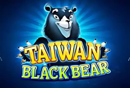 Taiwan Black Bear img