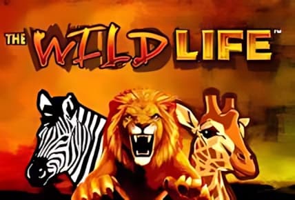The Wild Life img