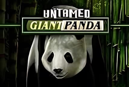 Untamed Giant Panda img