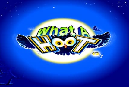 What a Hoot