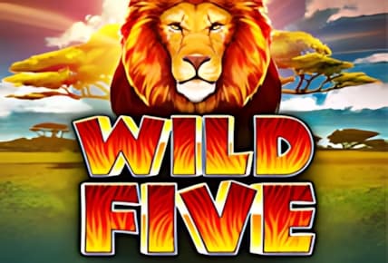 Wild Five img